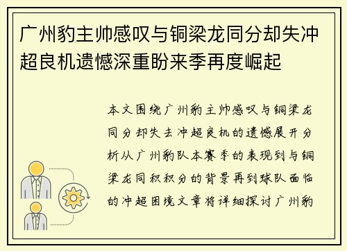 广州豹主帅感叹与铜梁龙同分却失冲超良机遗憾深重盼来季再度崛起